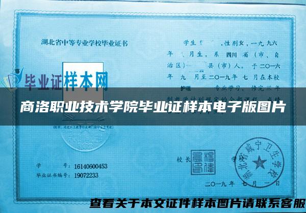 商洛职业技术学院毕业证样本电子版图片