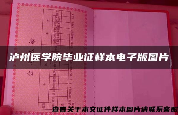 泸州医学院毕业证样本电子版图片