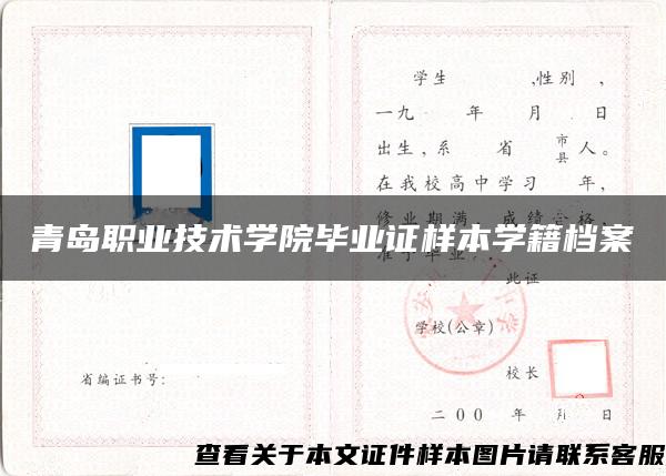 青岛职业技术学院毕业证样本学籍档案