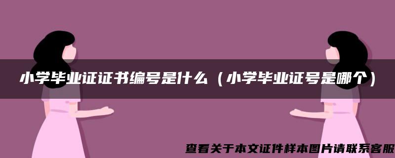 小学毕业证证书编号是什么（小学毕业证号是哪个）