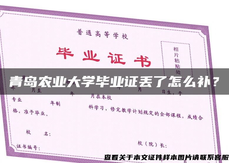 青岛农业大学毕业证丢了怎么补？