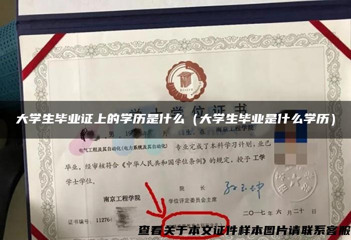 大学生毕业证上的学历是什么（大学生毕业是什么学历）