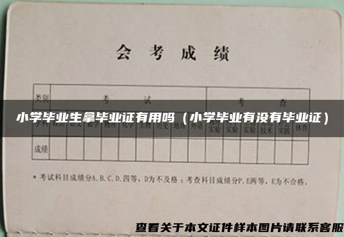 小学毕业生拿毕业证有用吗（小学毕业有没有毕业证）