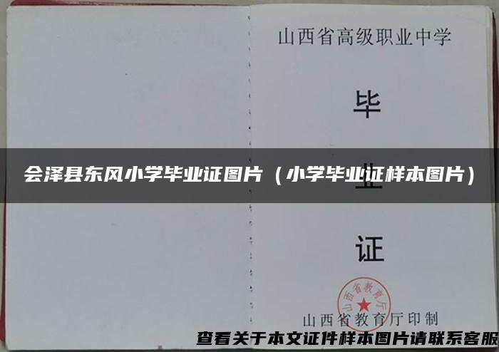 会泽县东风小学毕业证图片（小学毕业证样本图片）