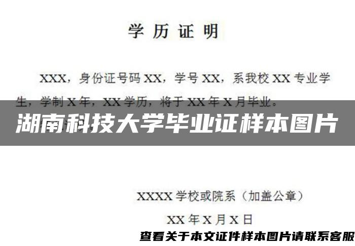 湖南科技大学毕业证样本图片