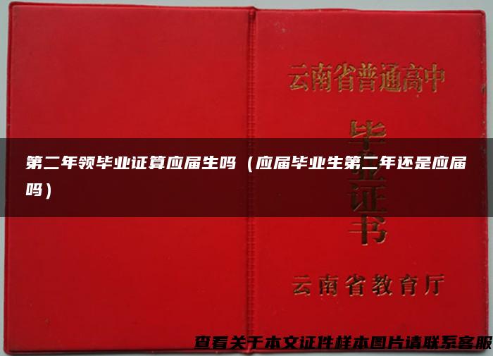 第二年领毕业证算应届生吗（应届毕业生第二年还是应届吗）