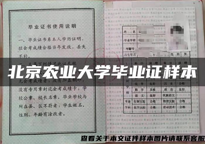 北京农业大学毕业证样本