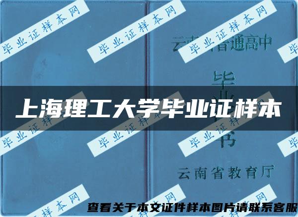 上海理工大学毕业证样本