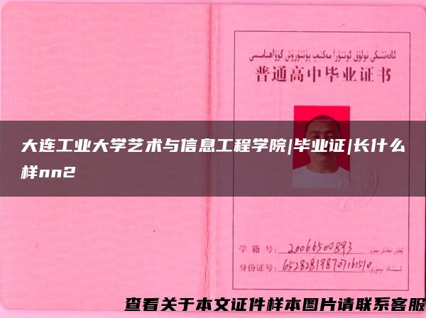 大连工业大学艺术与信息工程学院|毕业证|长什么样nn2