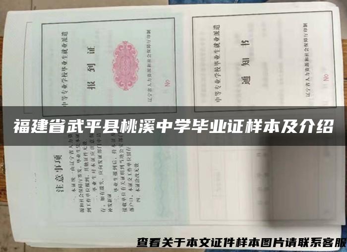 福建省武平县桃溪中学毕业证样本及介绍