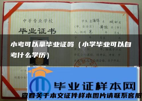 小考可以拿毕业证吗（小学毕业可以自考什么学历）