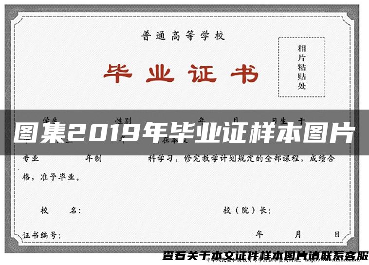 图集2019年毕业证样本图片