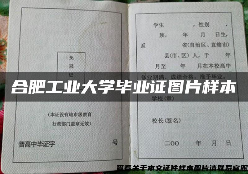 合肥工业大学毕业证图片样本