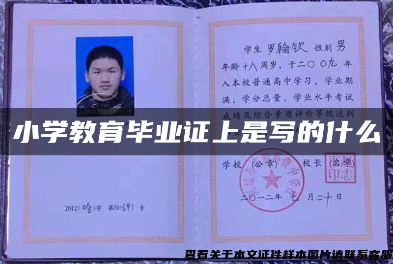 小学教育毕业证上是写的什么