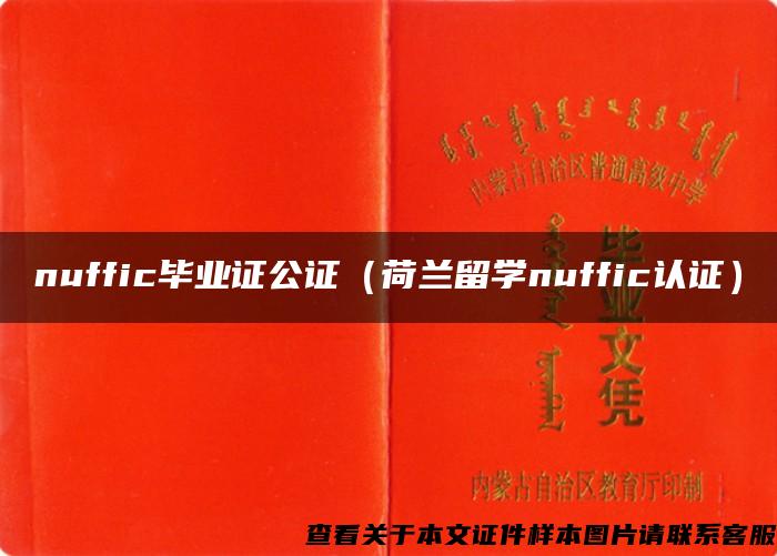 nuffic毕业证公证（荷兰留学nuffic认证）