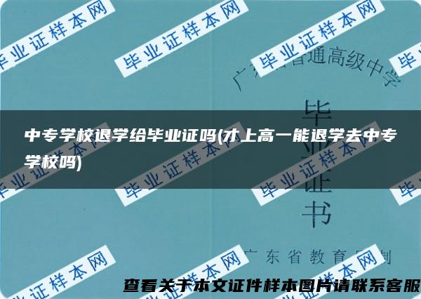 中专学校退学给毕业证吗(才上高一能退学去中专学校吗)