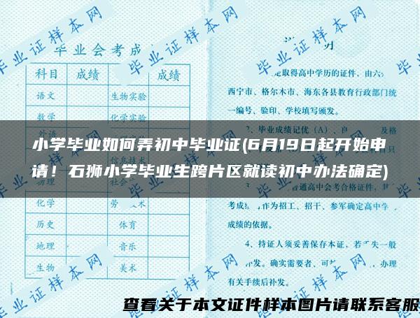 小学毕业如何弄初中毕业证(6月19日起开始申请！石狮小学毕业生跨片区就读初中办法确定)