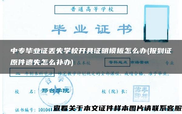 中专毕业证丢失学校开具证明模板怎么办(报到证原件遗失怎么补办)