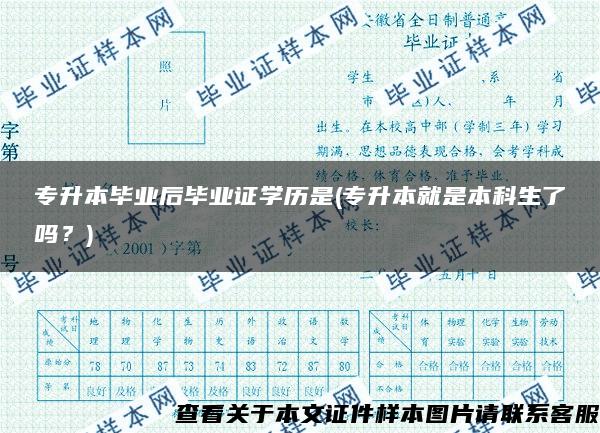 专升本毕业后毕业证学历是(专升本就是本科生了吗？)