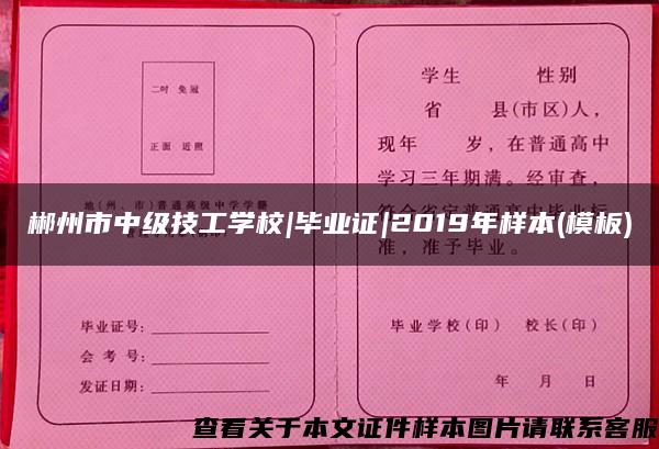 郴州市中级技工学校|毕业证|2019年样本(模板)