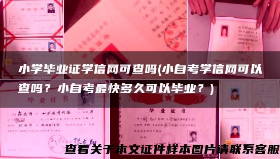 小学毕业证学信网可查吗(小自考学信网可以查吗？小自考最快多久可以毕业？)