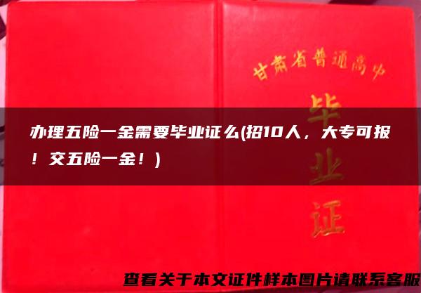 办理五险一金需要毕业证么(招10人，大专可报！交五险一金！)