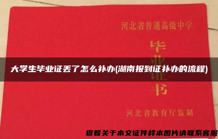 大学生毕业证丢了怎么补办(湖南报到证补办的流程)