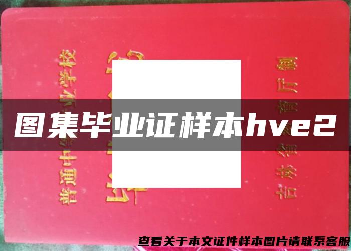 图集毕业证样本hve2