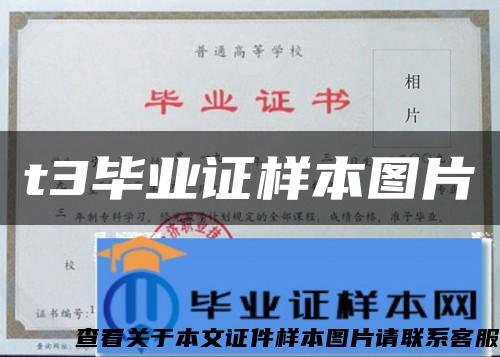 t3毕业证样本图片