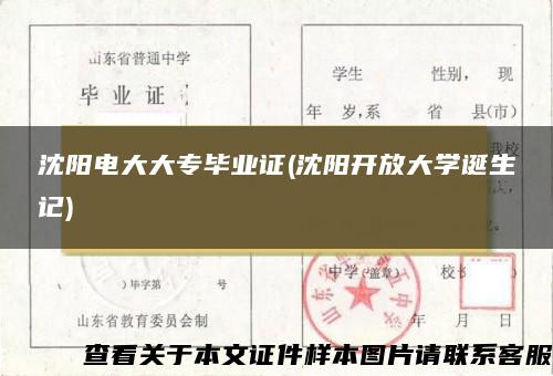 沈阳电大大专毕业证(沈阳开放大学诞生记)