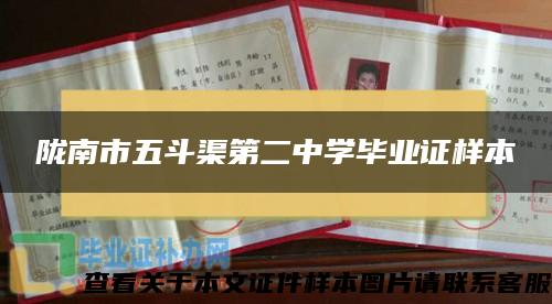 陇南市五斗渠第二中学毕业证样本