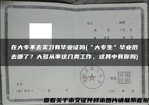 在大专不去实习有毕业证吗(“大专生”毕业后去哪了？大多从事这几类工作，这其中有你吗)