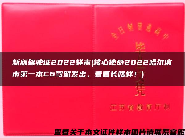 新版驾驶证2022样本(核心使命2022哈尔滨市第一本C6驾照发出，看看长啥样！)