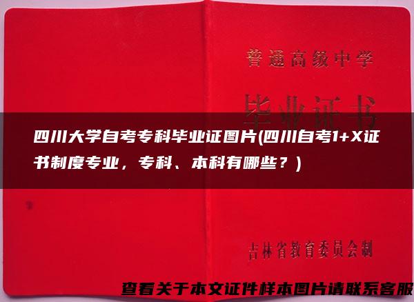 四川大学自考专科毕业证图片(四川自考1+X证书制度专业，专科、本科有哪些？)