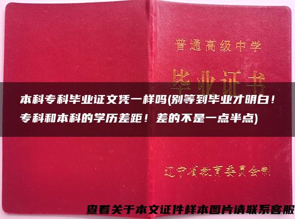 本科专科毕业证文凭一样吗(别等到毕业才明白！专科和本科的学历差距！差的不是一点半点)