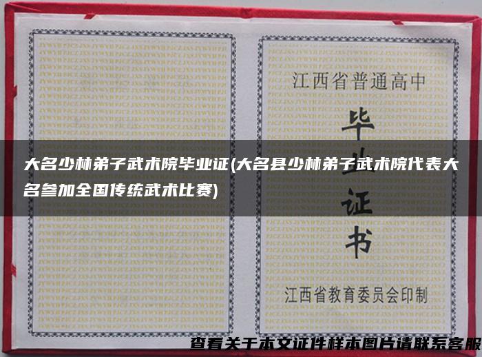 大名少林弟子武术院毕业证(大名县少林弟子武术院代表大名参加全国传统武术比赛)