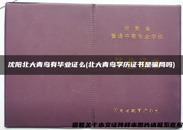 沈阳北大青鸟有毕业证么(北大青鸟学历证书是骗局吗)