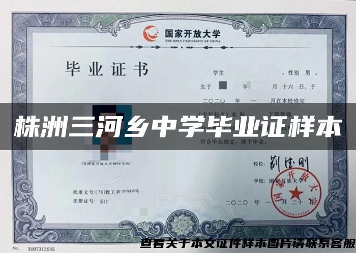 株洲三河乡中学毕业证样本