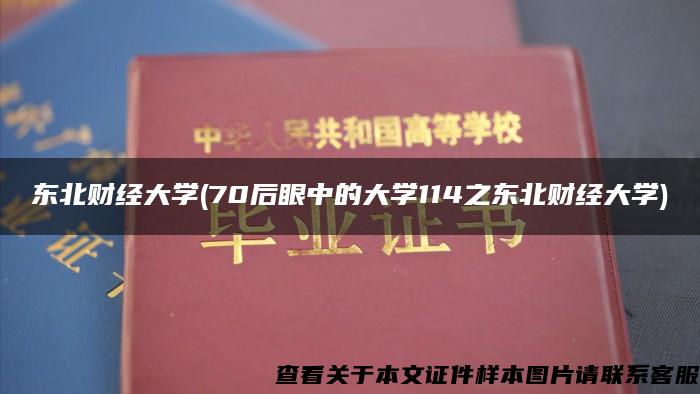 东北财经大学(70后眼中的大学114之东北财经大学)