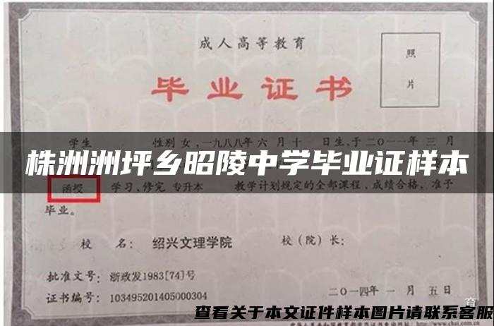 株洲洲坪乡昭陵中学毕业证样本