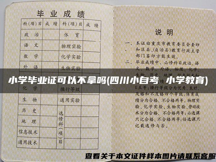 小学毕业证可以不拿吗(四川小自考 小学教育)