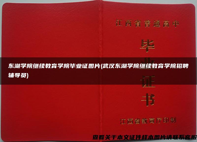 东湖学院继续教育学院毕业证图片(武汉东湖学院继续教育学院招聘辅导员)