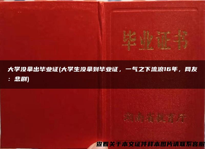 大学没拿出毕业证(大学生没拿到毕业证，一气之下流浪16年，网友：悲剧)