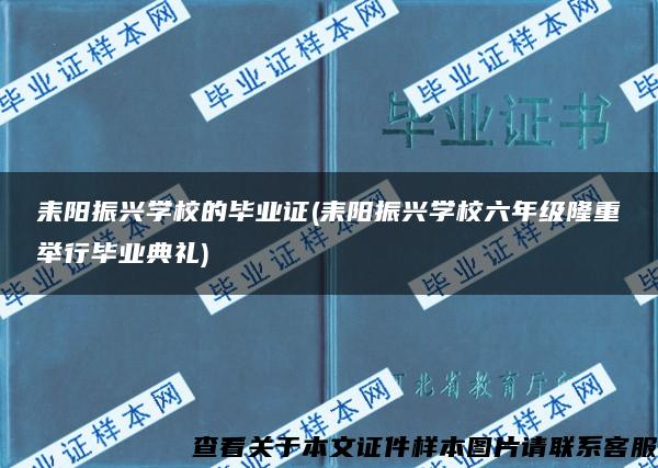 耒阳振兴学校的毕业证(耒阳振兴学校六年级隆重举行毕业典礼)