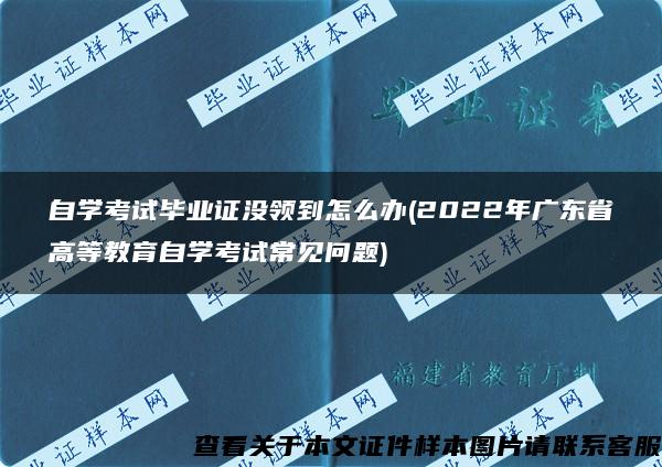 自学考试毕业证没领到怎么办(2022年广东省高等教育自学考试常见问题)