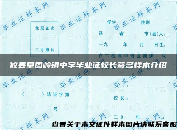 攸县皇图岭镇中学毕业证校长签名样本介绍