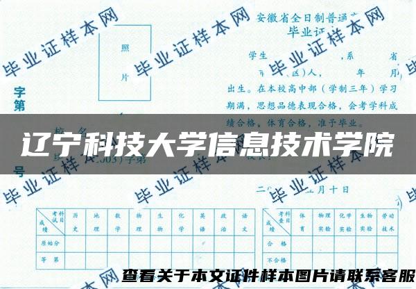 辽宁科技大学信息技术学院