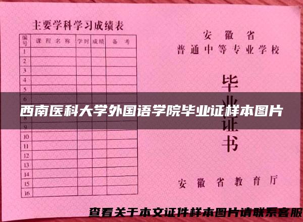 西南医科大学外国语学院毕业证样本图片