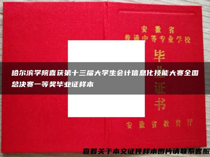 哈尔滨学院喜获第十三届大学生会计信息化技能大赛全国总决赛一等奖毕业证样本