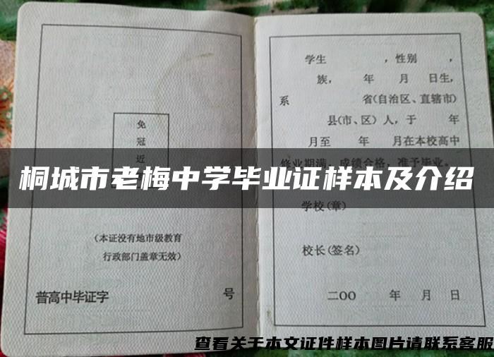 桐城市老梅中学毕业证样本及介绍